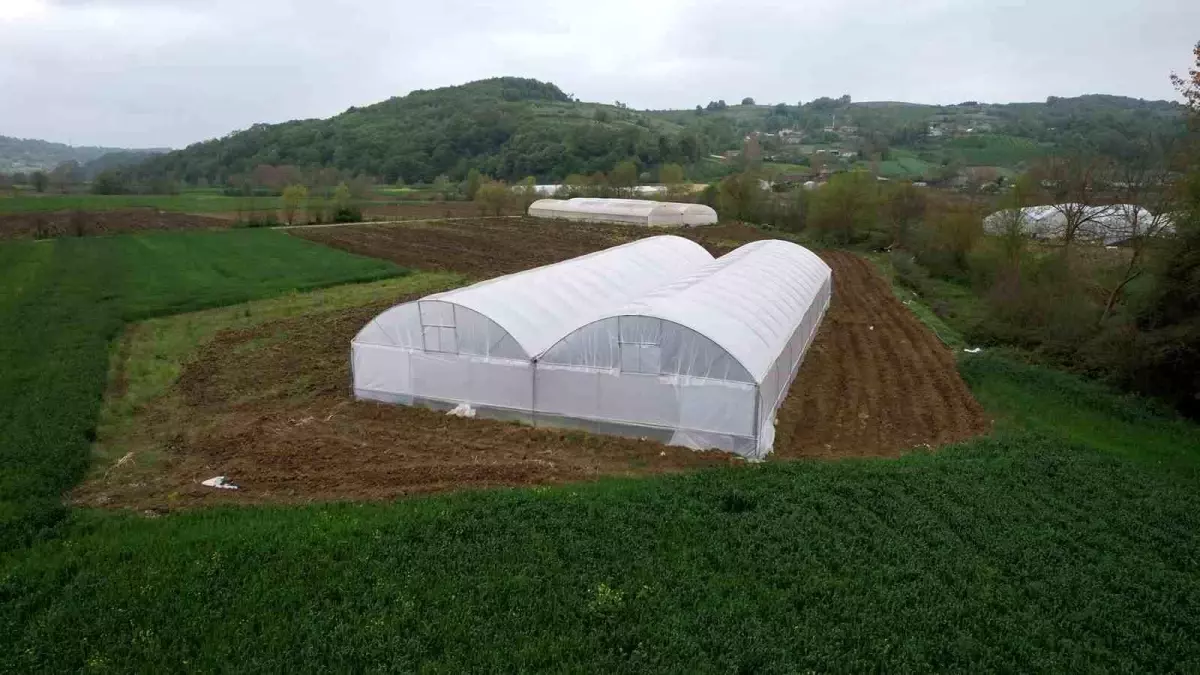 Kocaeli’den Çiftçilere Çağdaş Sera Dayanağı