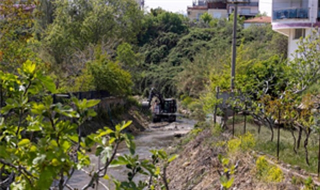 Körfezle buluşan derelerde paklık harekâtı