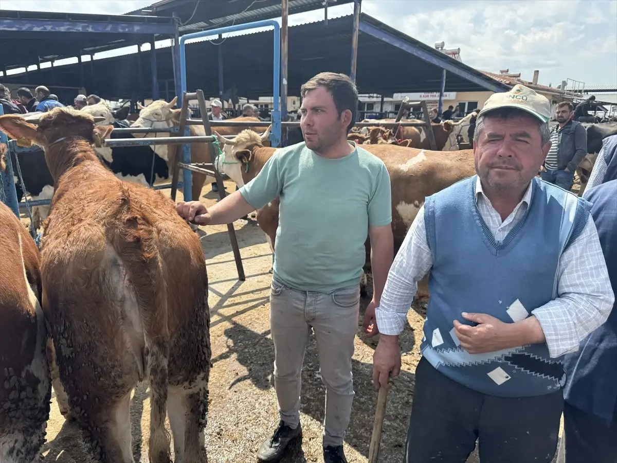 Kurban Bayramı için Hayvan Pazarı Hareketlendi