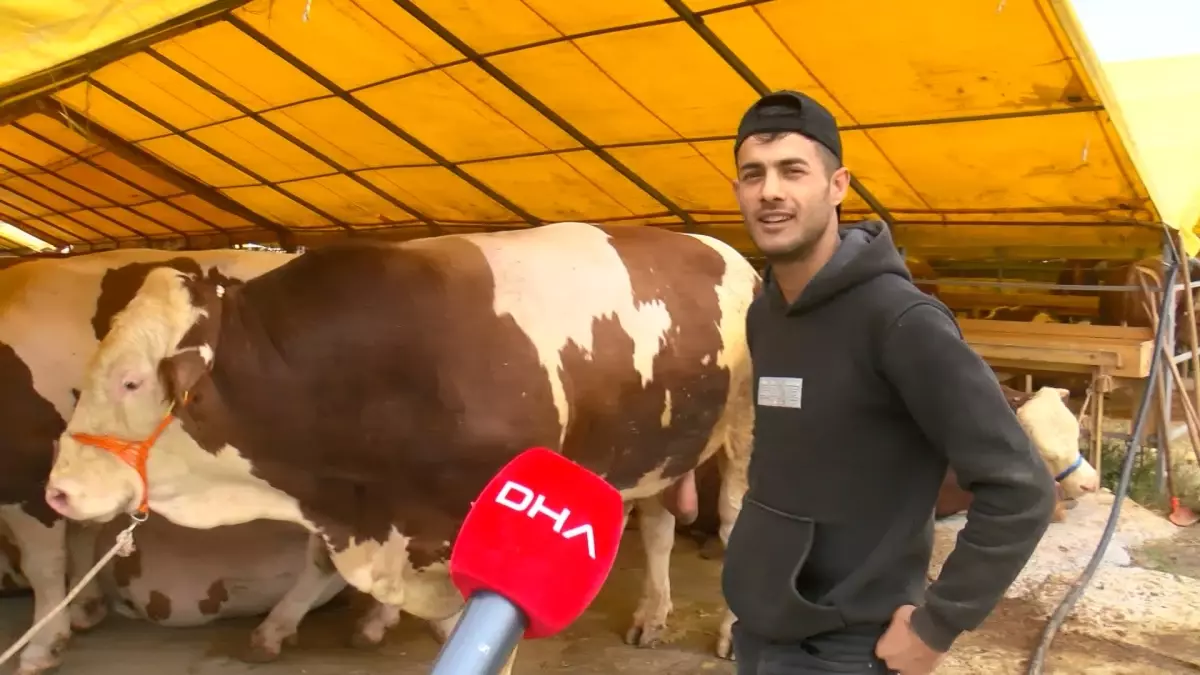 Kurban Pazarında Hareketlilik