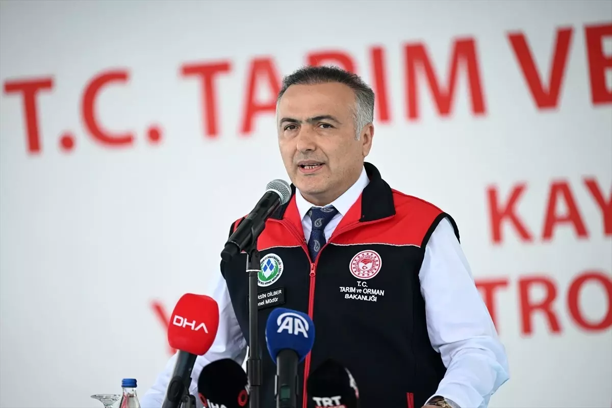 Kurbanlık Hayvan Kâfi