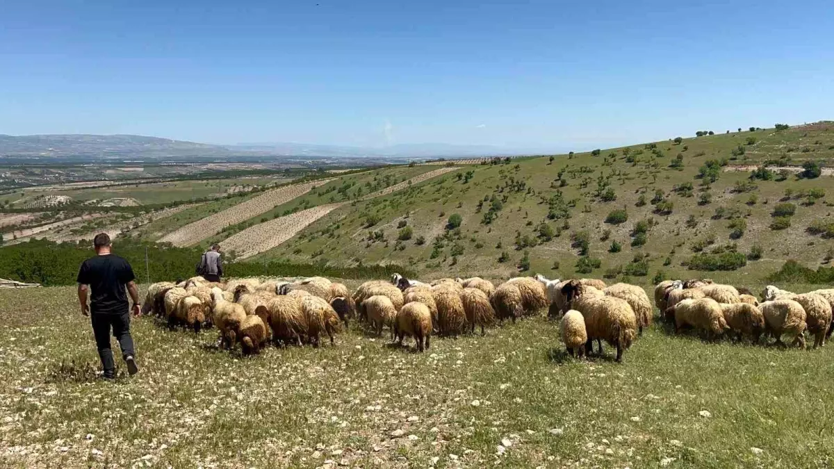 Malatya’da Yayla Göçü Başladı
