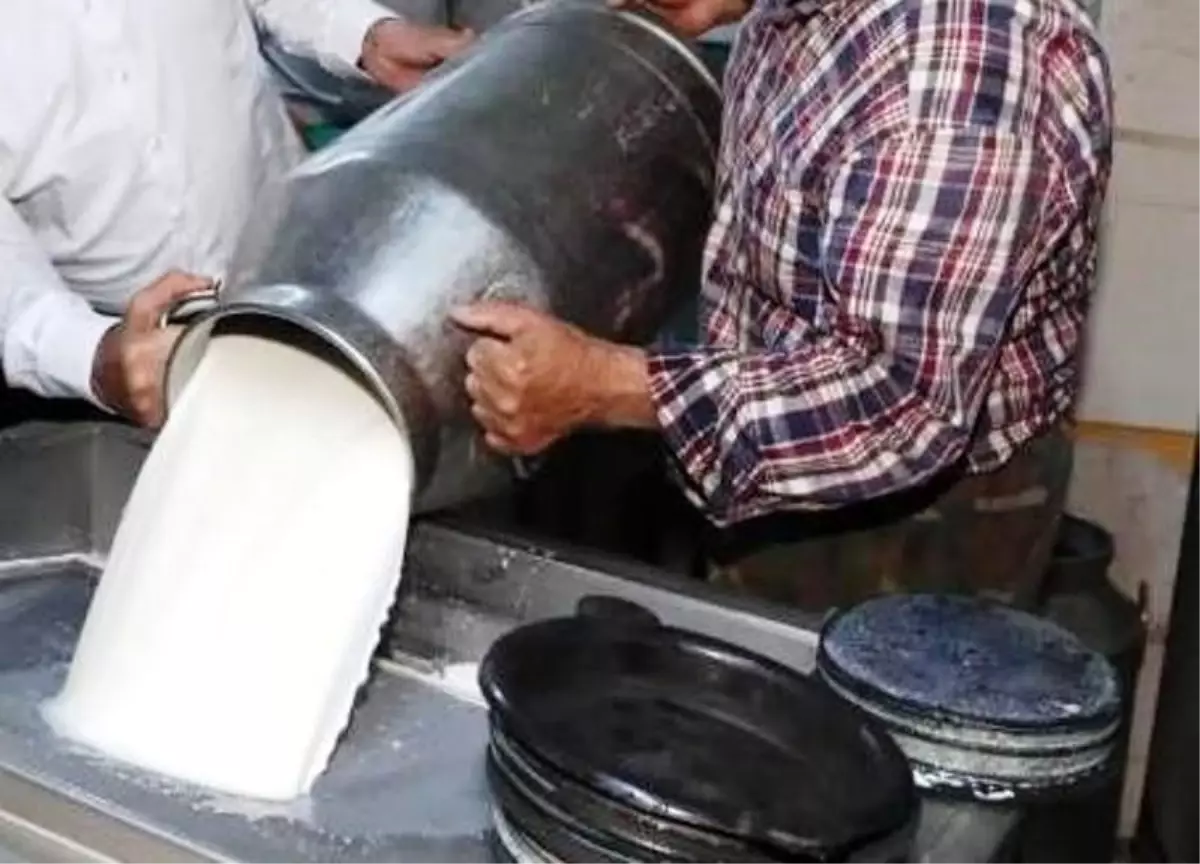 Mart’ta Süt Toplama Ölçüsü Artış Gösterdi