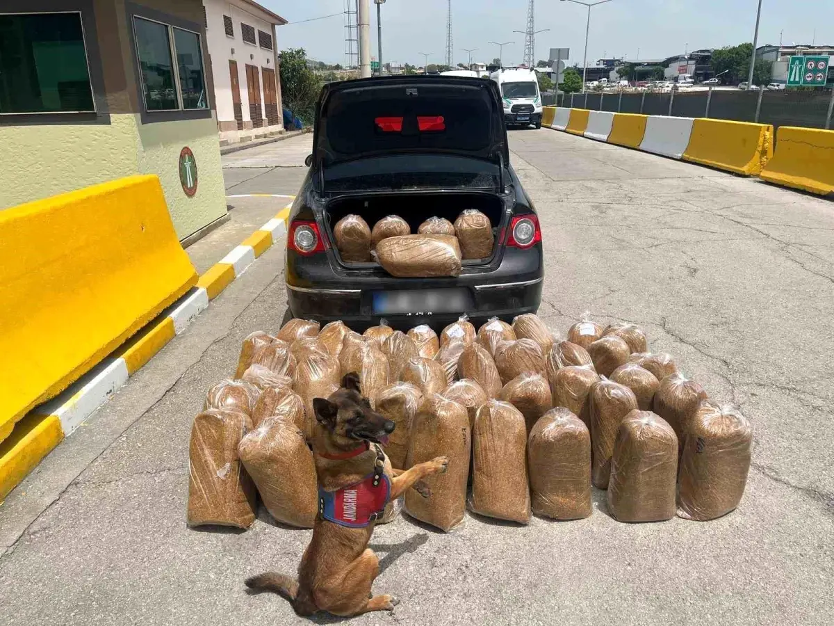 Mersin’de Kaçak Tütün ve Makaron Operasyonu