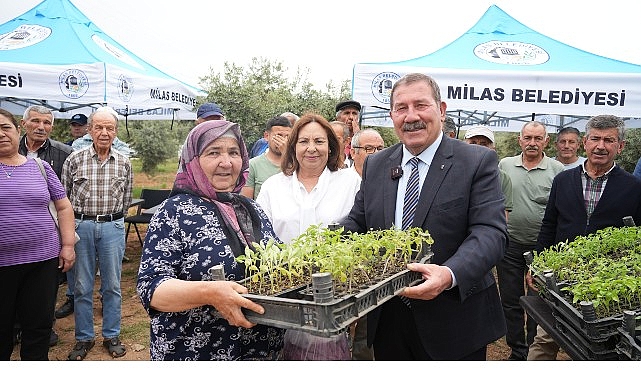 Milas Belediyesi, cet tohumlarını yaşatmak için üreticilere fide dağıtımı gerçekleştirdi