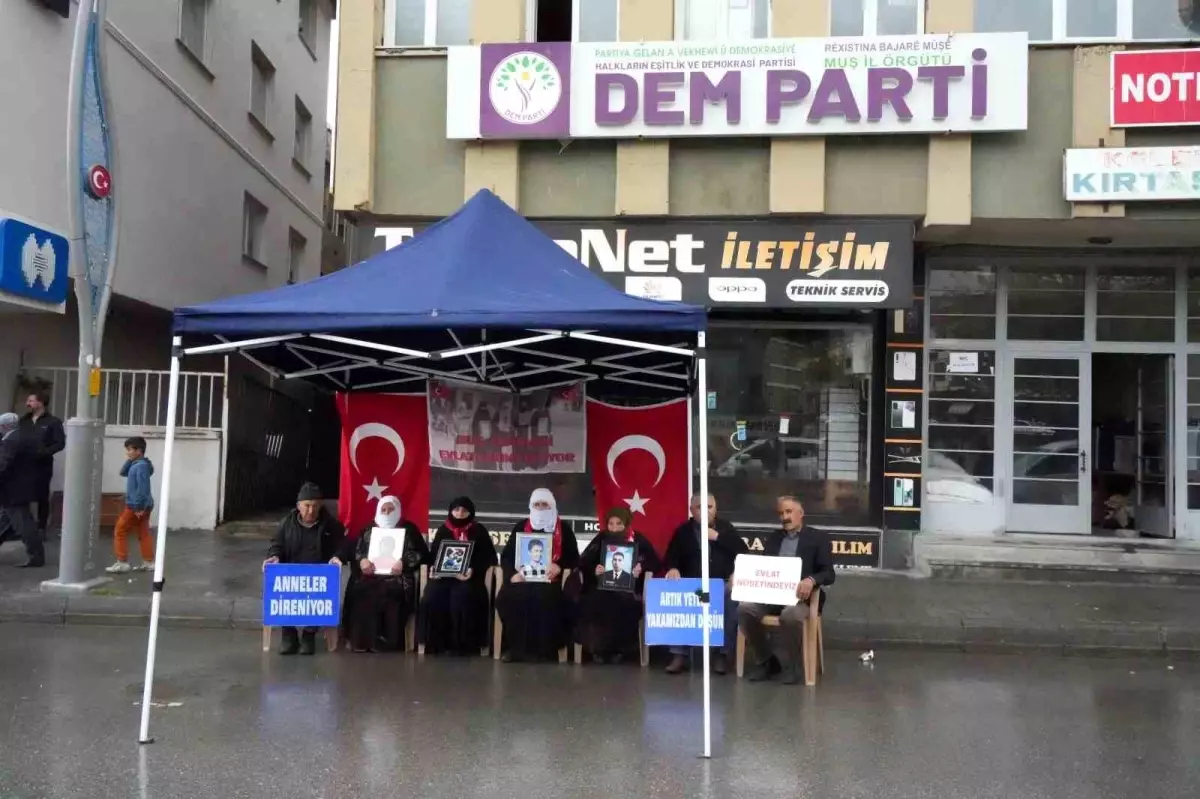 Muş’ta Evlat Nöbeti: 196. Haftada Umutlar Yine Canlandı