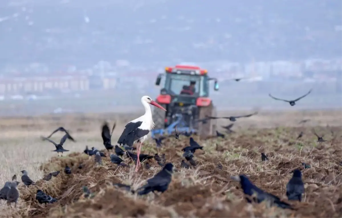 Nisan’da Türkiye’de 191 bin araç kaydedildi