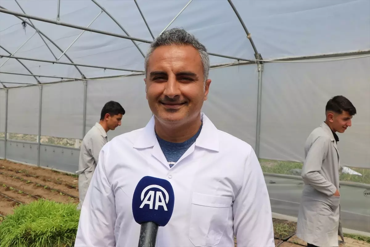 Öğrenciler topraksız tarımla elde ettikleri yeşil yemle hayvancılıkta maliyeti düşürmeyi hedefliyor