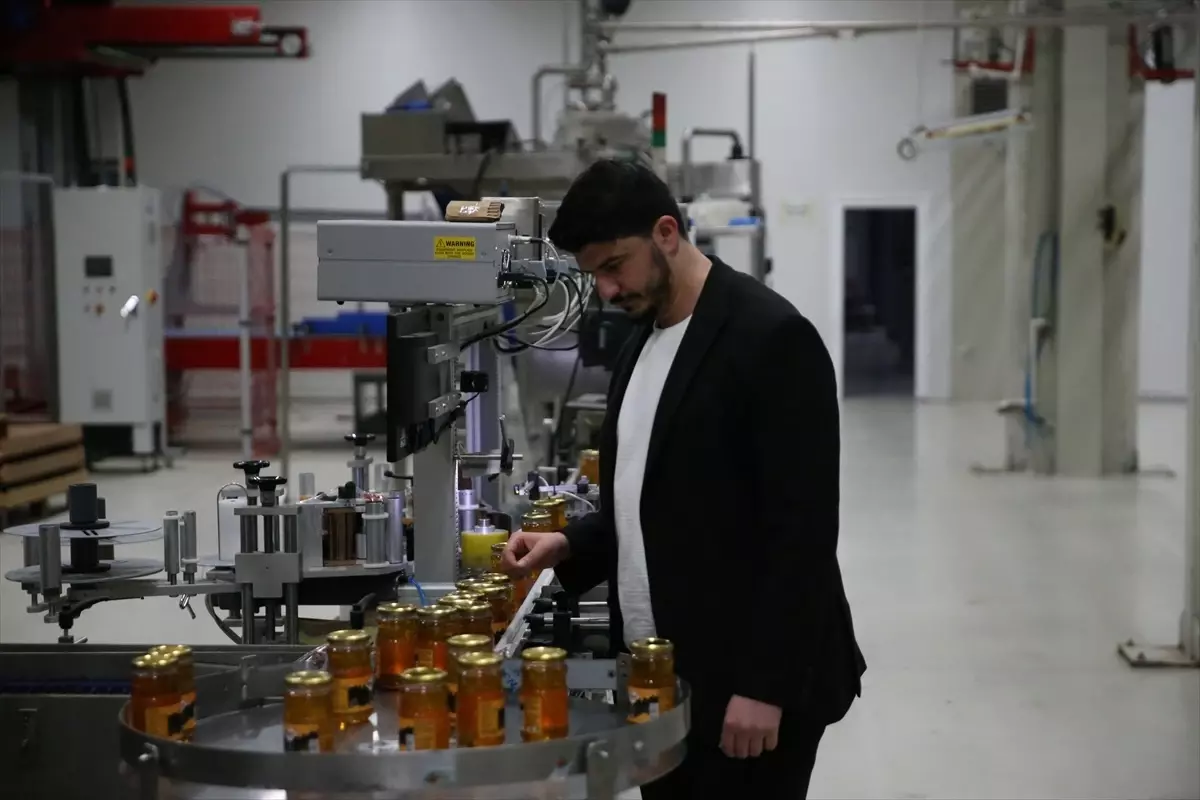Ordu’da Bal Tahlil Laboratuvarı 40 Bin Tahlil Yaptı