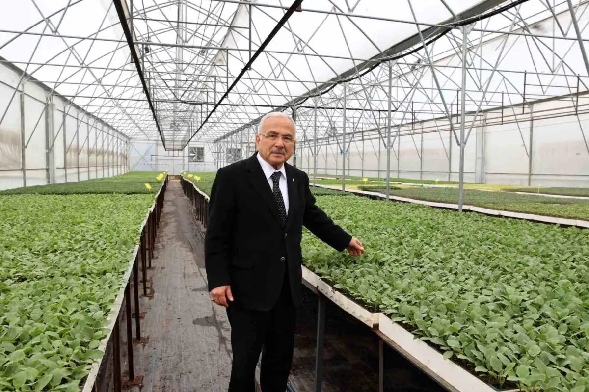 Ordu’da Ziraî Üretim Atılımı: 4 Milyon Fide Dağıtıldı