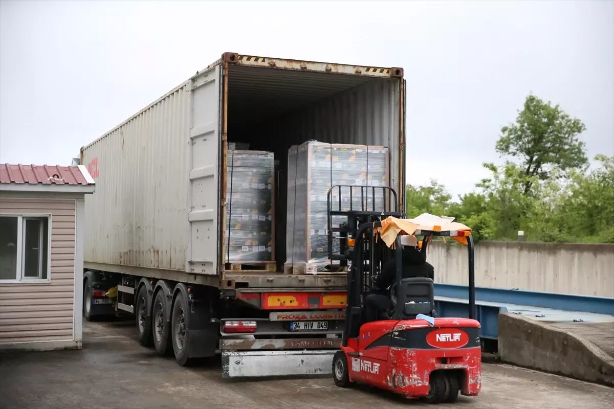 Ordu’dan 1000 Ton Bal İhracatı Hedefleniyor