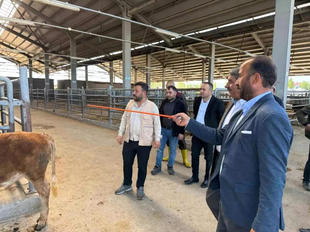 Patnos Belediye Başkanı Kurban Bayramı Hazırlıklarını İnceledi