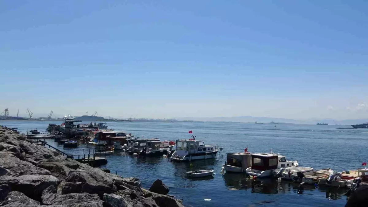 Pendik’te Yavru Köpek Balığı Oltaya Takıldı