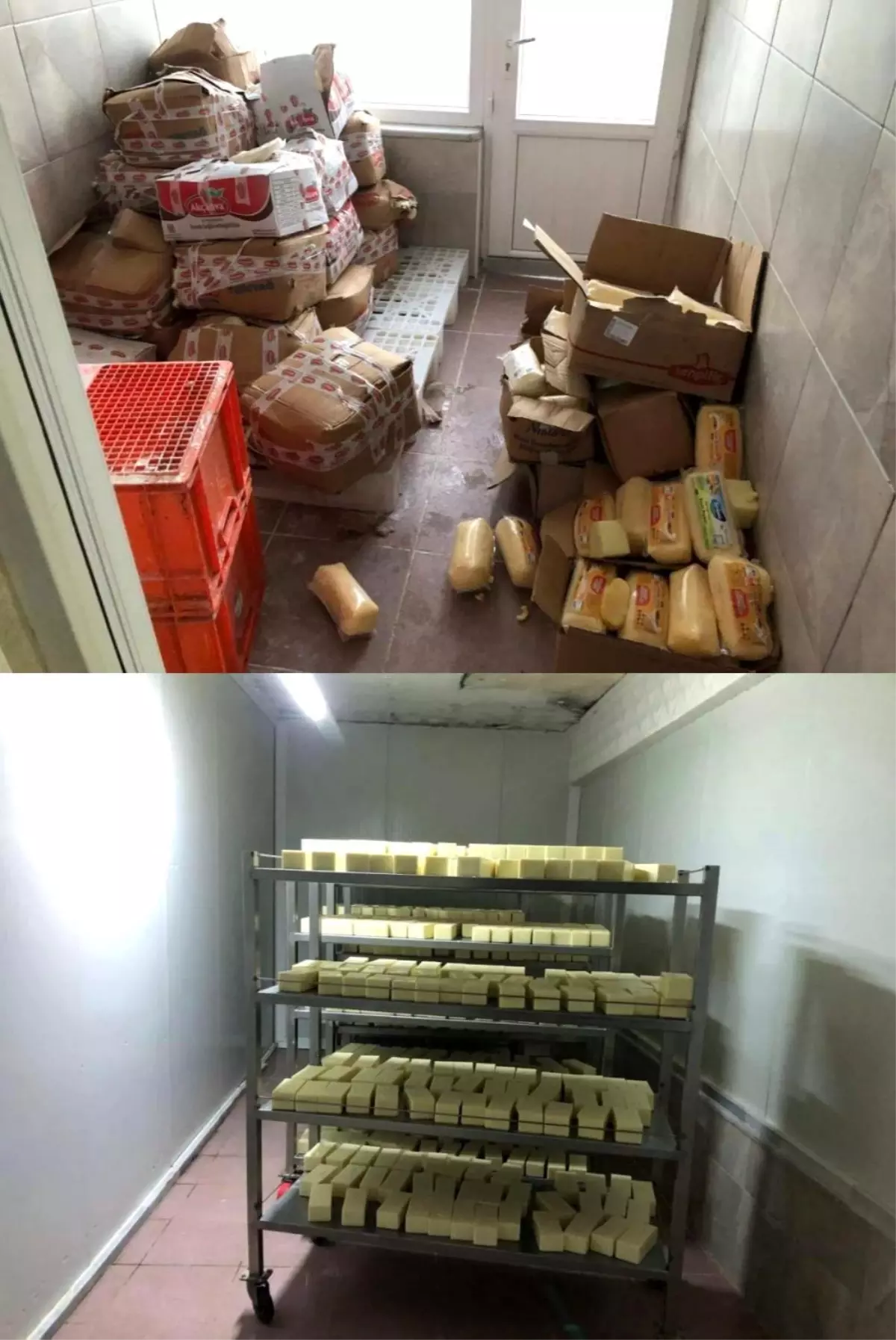 Sakarya’da 5 Ton Düzmece Peynir Ele Geçirildi