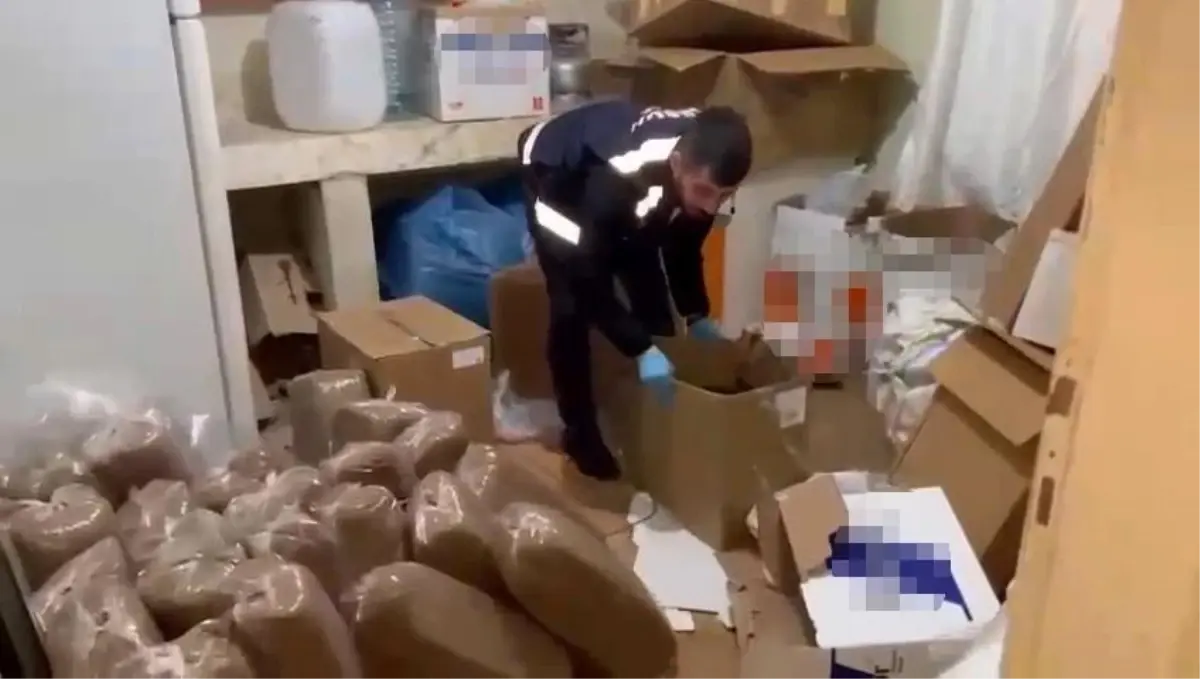 Samsun’da Kaçak Tütün Operasyonu