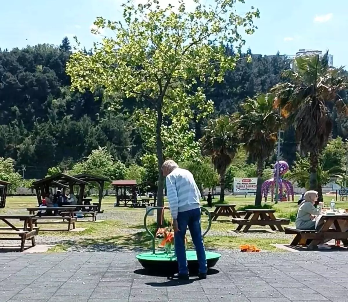 Samsun’da Köpek Parkta Eğlendi