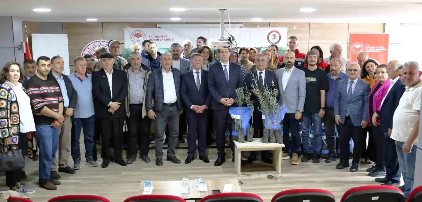 Samsun’da Sorgum Tohumları Dağıtıldı