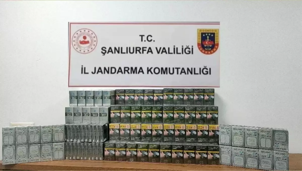 Şanlıurfa’da 980 Paket Kaçak Sigara Ele Geçirildi