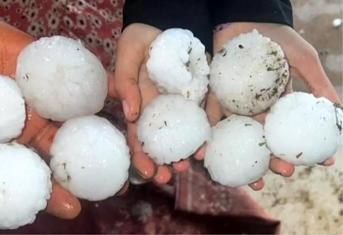 Şanlıurfa’da Dolu Ziyan Tespiti
