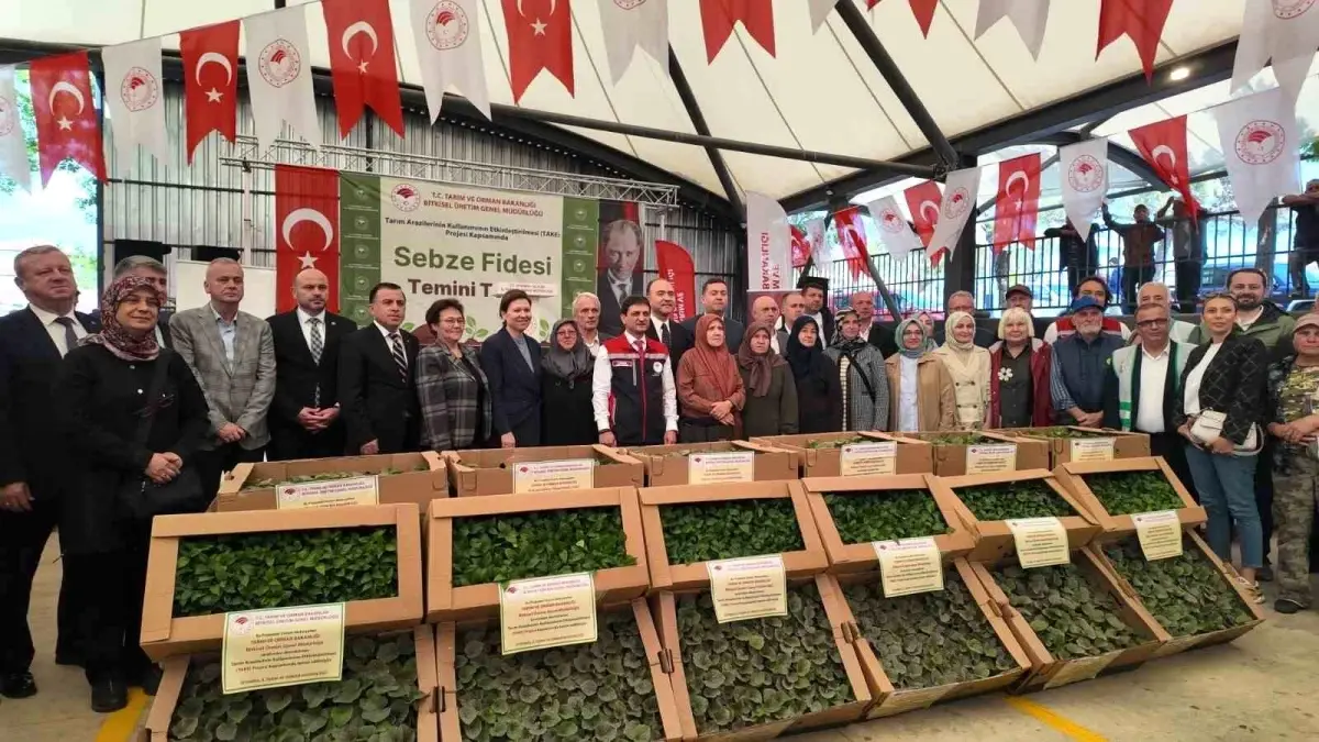 Silivri’de Üreticilere Fide ve Tohum Dayanağı Sağlandı