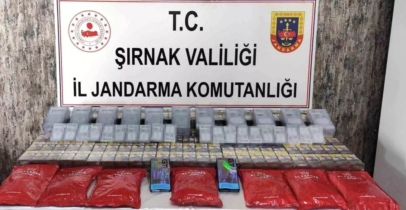 Şırnak’ta Kaçak Eser Operasyonu: 22 Gözaltı