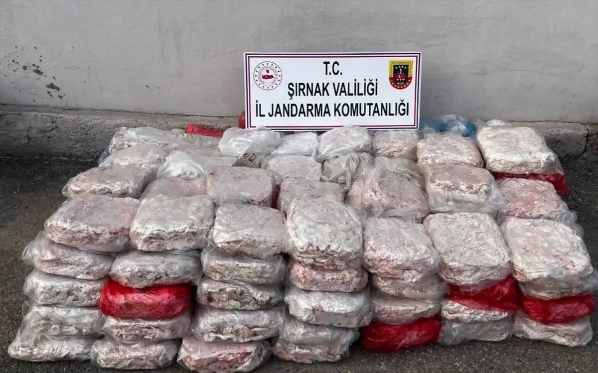 Şırnak’ta Uyuşturucu ve Kaçakçılık Operasyonu