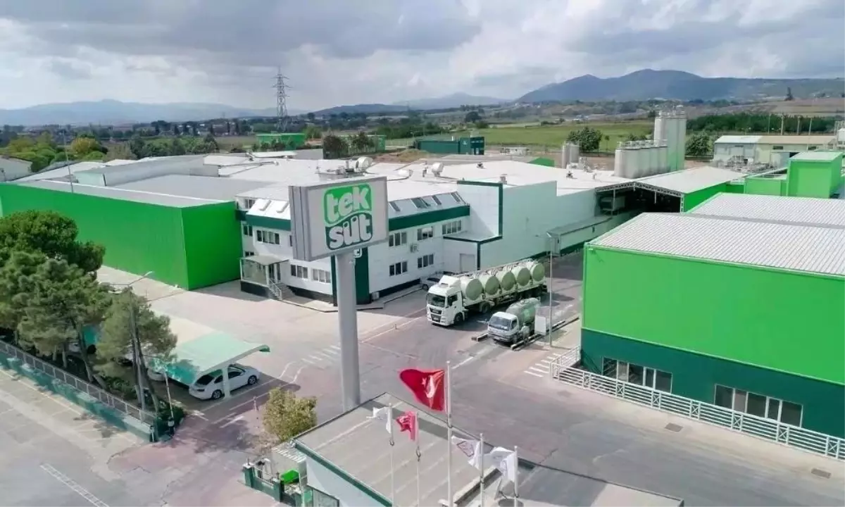Süt Pazarında Soruşturma