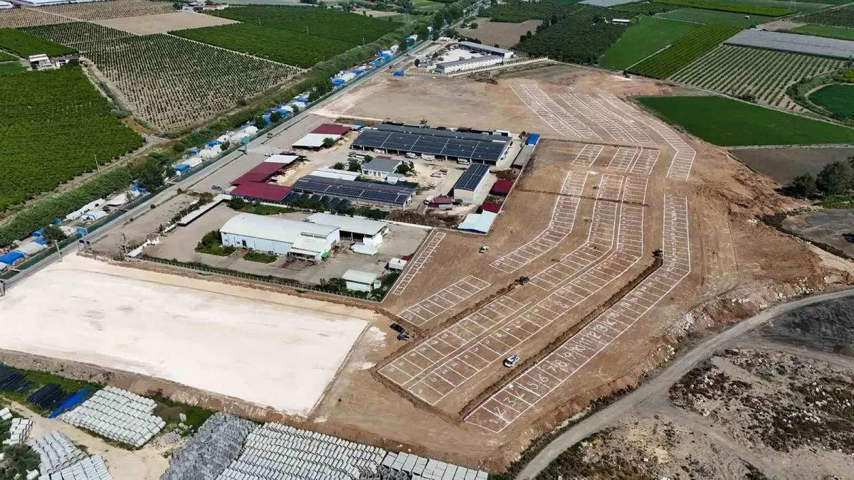 Tarsus’ta Kurban Bayramı İçin Tek Noktada Kurbanlık Satışı