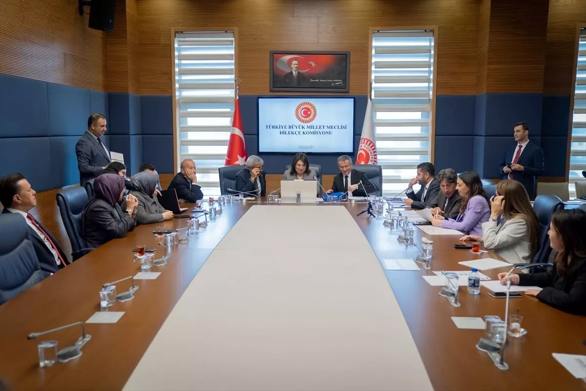 TBMM Dilekçe Komitesine 2 yılda yaklaşık 19 bin müracaat yapıldı