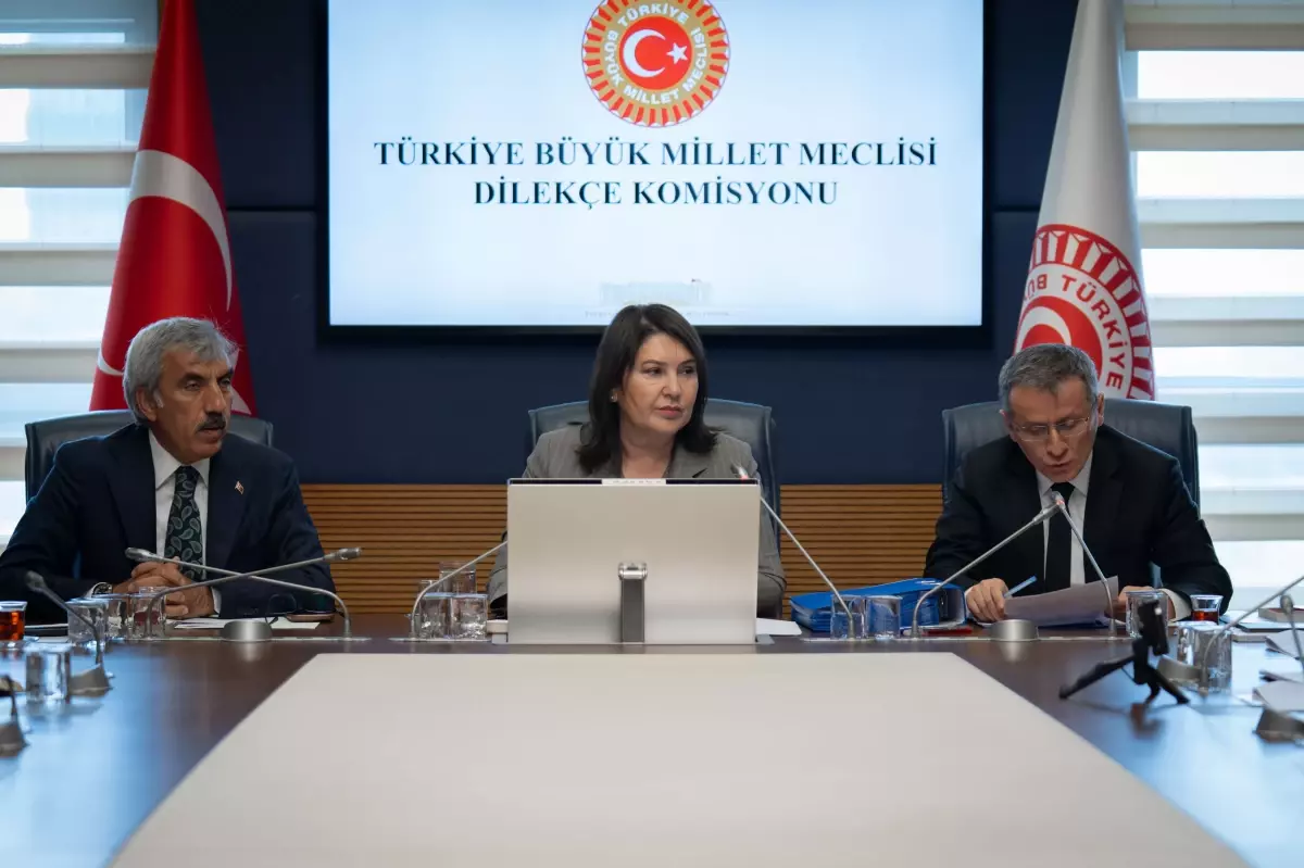 TBMM Dilekçe Kurulu’na 18 bin 949 müracaat yapıldı