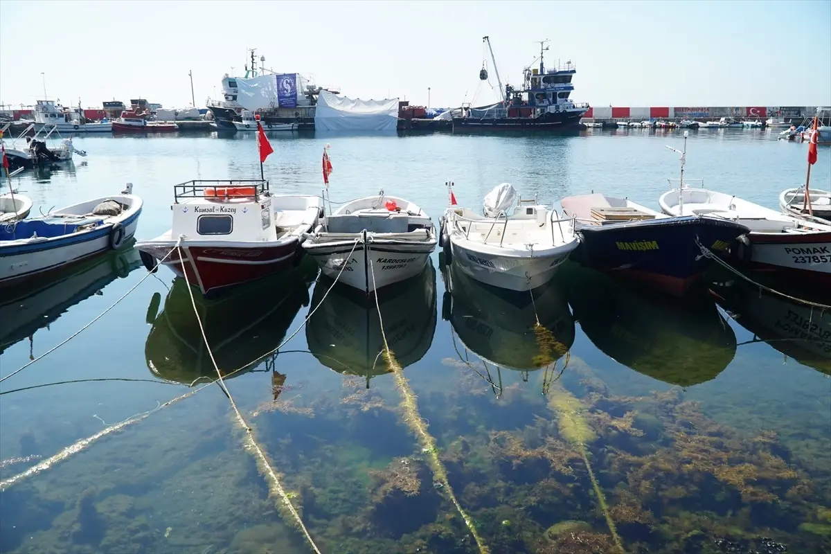 Tekirdağ’da Balıkçılar Denize Açıldı