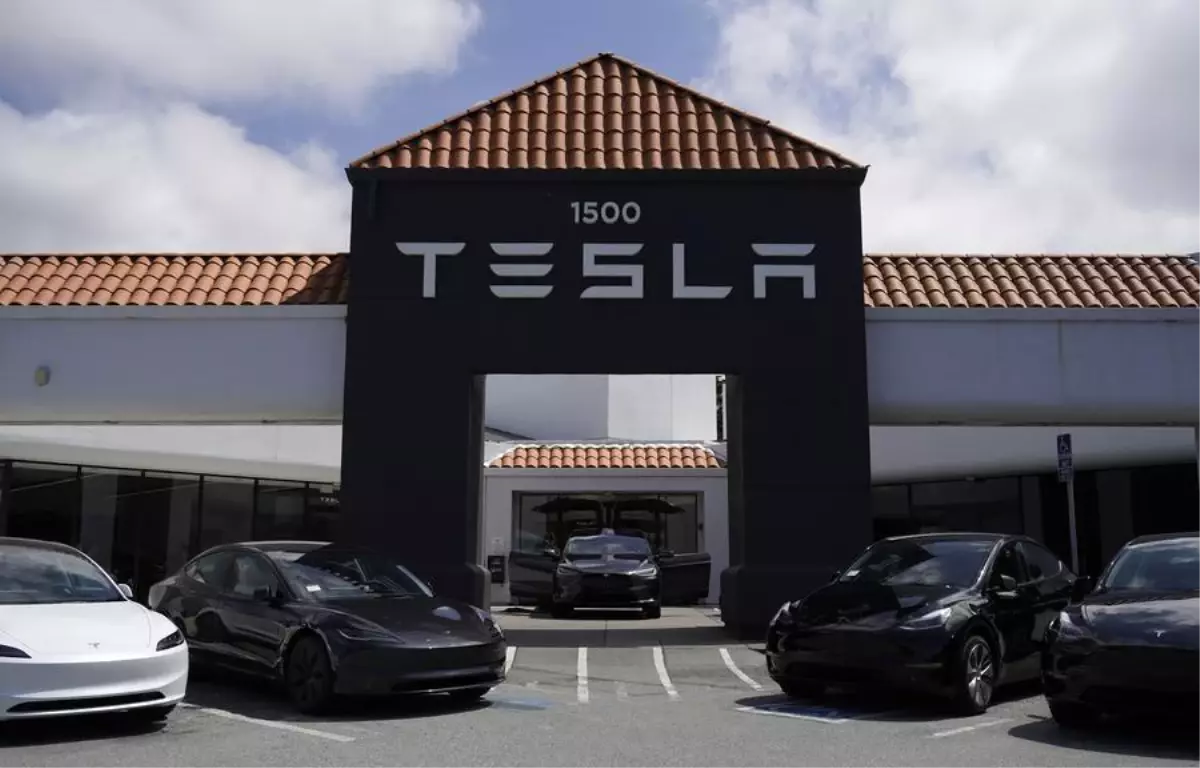 Tesla’nın Hollanda Satışları Yüzde 75 Düştü