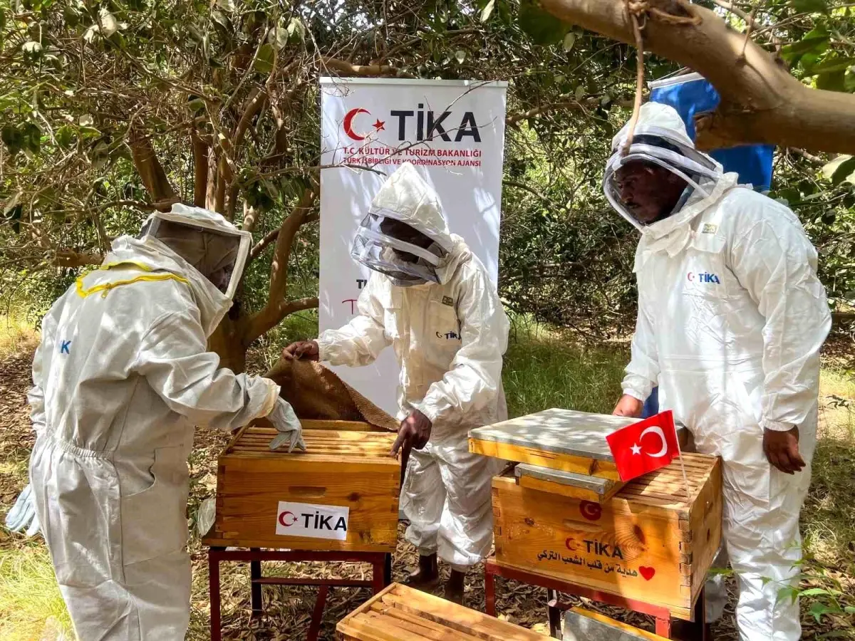 TİKA, Sudan’da Arıcılığa Dayanak Verdi