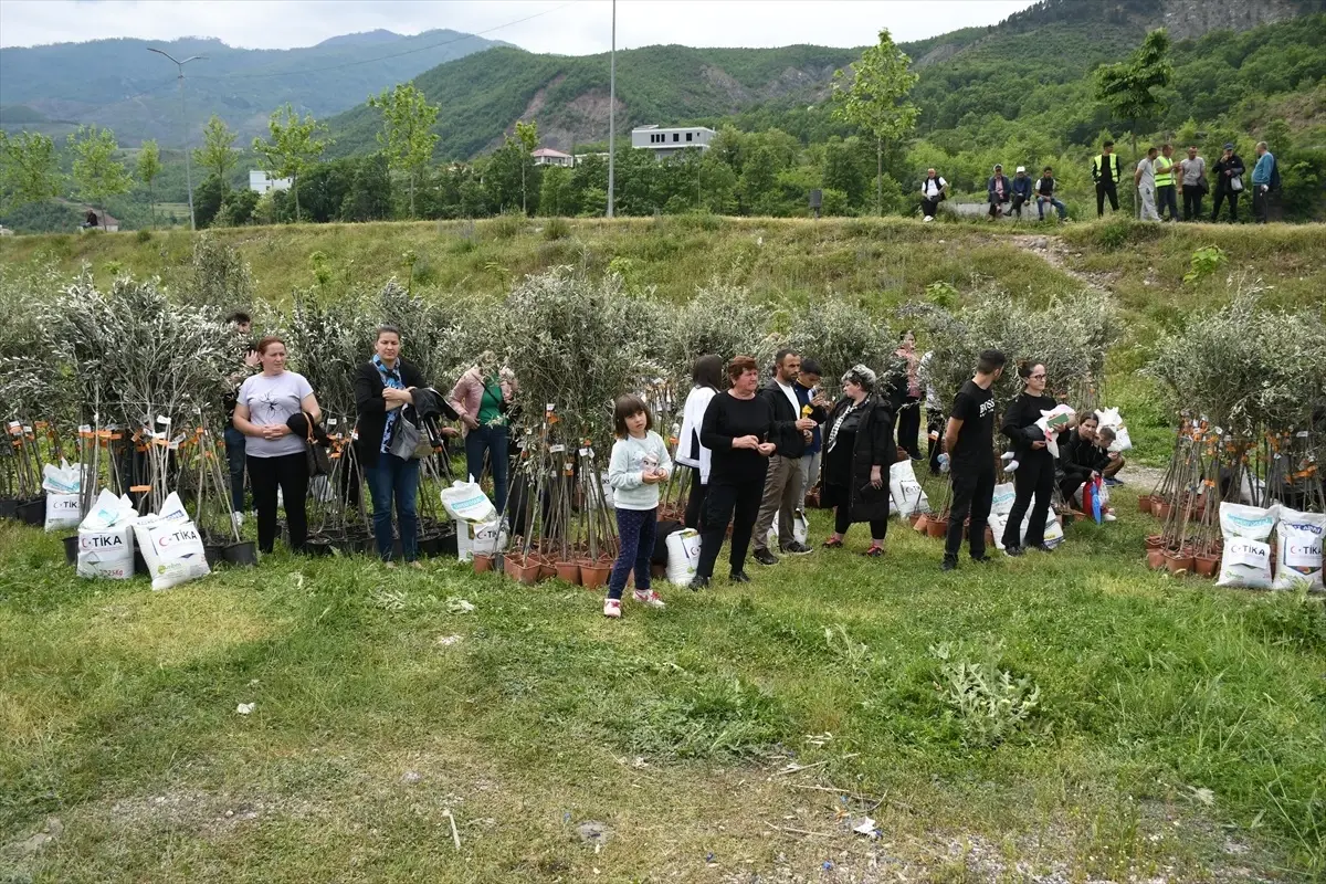 TİKA’dan Arnavutlara Zeytin Fidanı Takviyesi