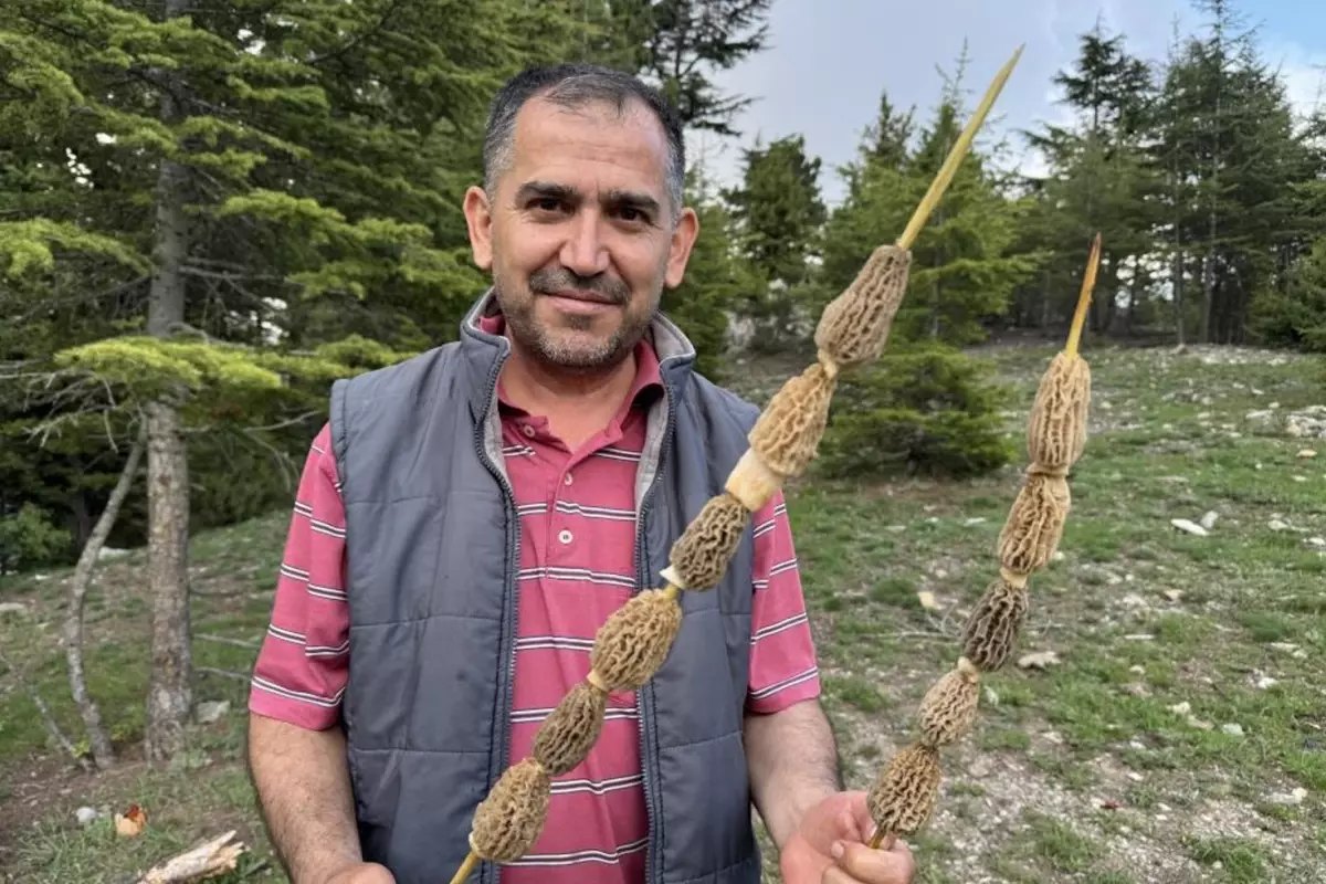 Toplaması tutku, kilosu 900 lira! Altın bulan bu kadar sevinmiyor
