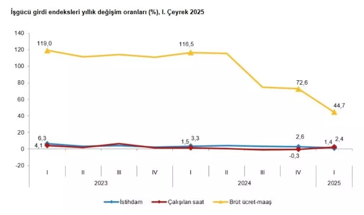 TÜİK 2025 İş Gücü Bilgilerini Açıkladı