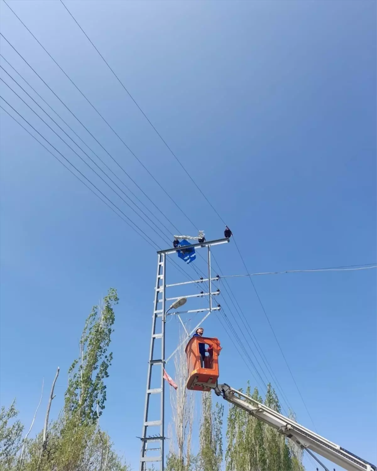 Uçurtmalar Tellere Takıldı