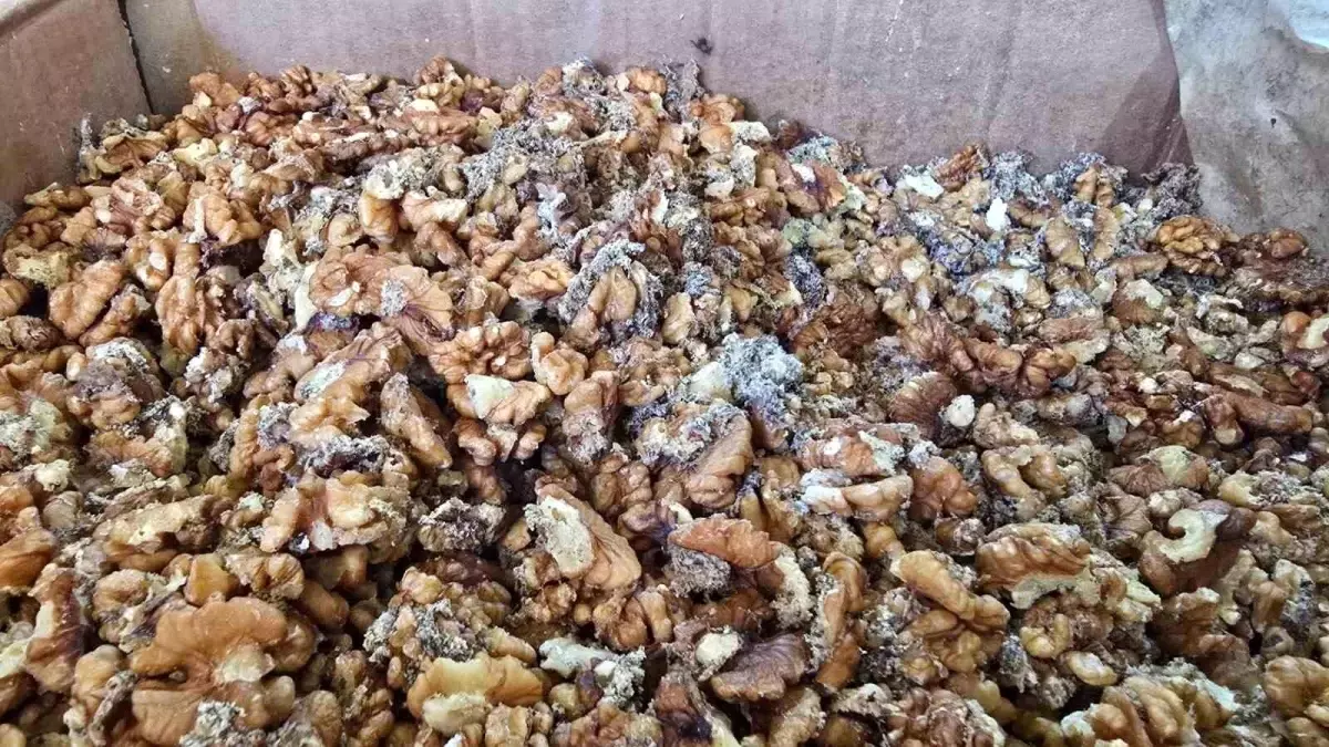 Urfa Yörem Baklavaları’nın Bozuk Ceviz Krizi: 11 Ton mu 3 Ton mu?