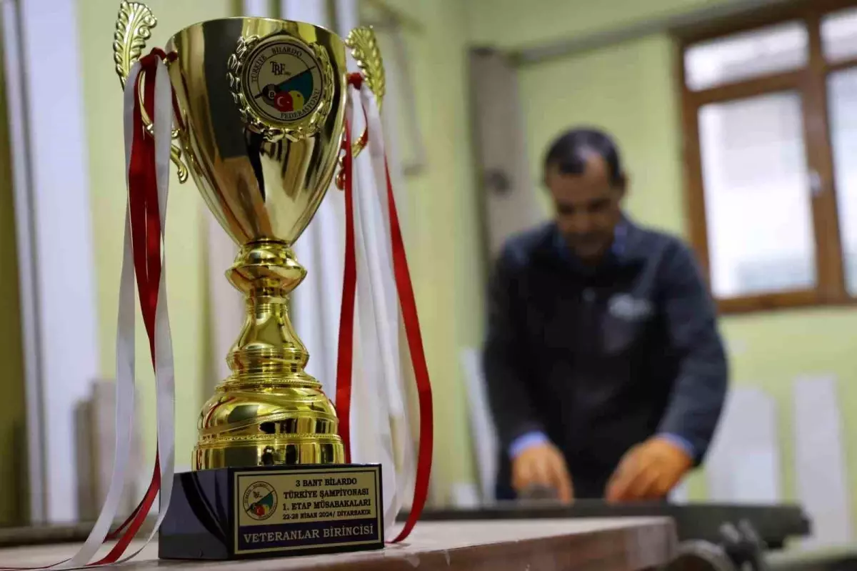 Usta Mobilyacı Bilardo Şampiyonu