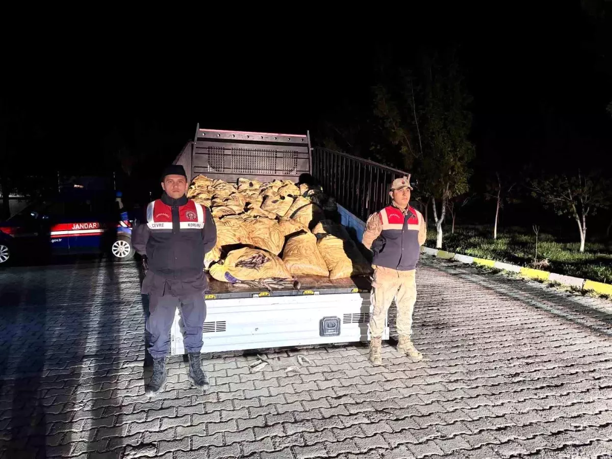 Van’da Kaçak İnci Kefali Operasyonu