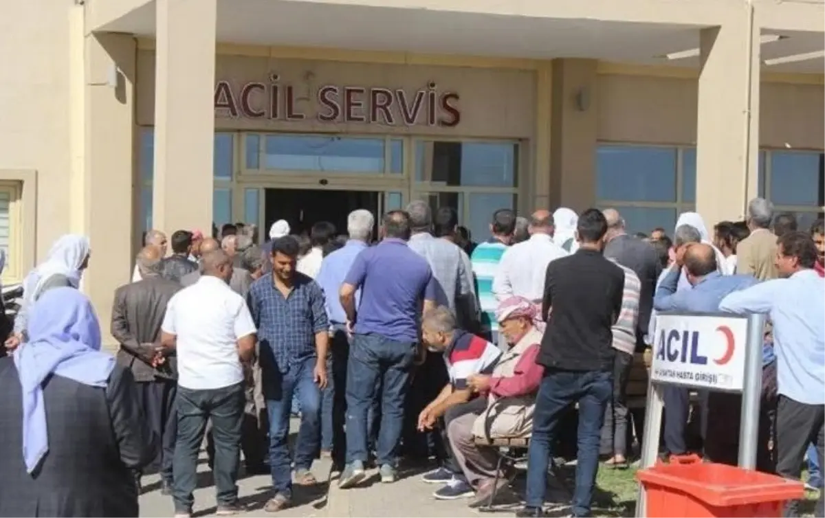 Viranşehir’de Aile Hengamesi: 5 Yaralı, 12 Gözaltı