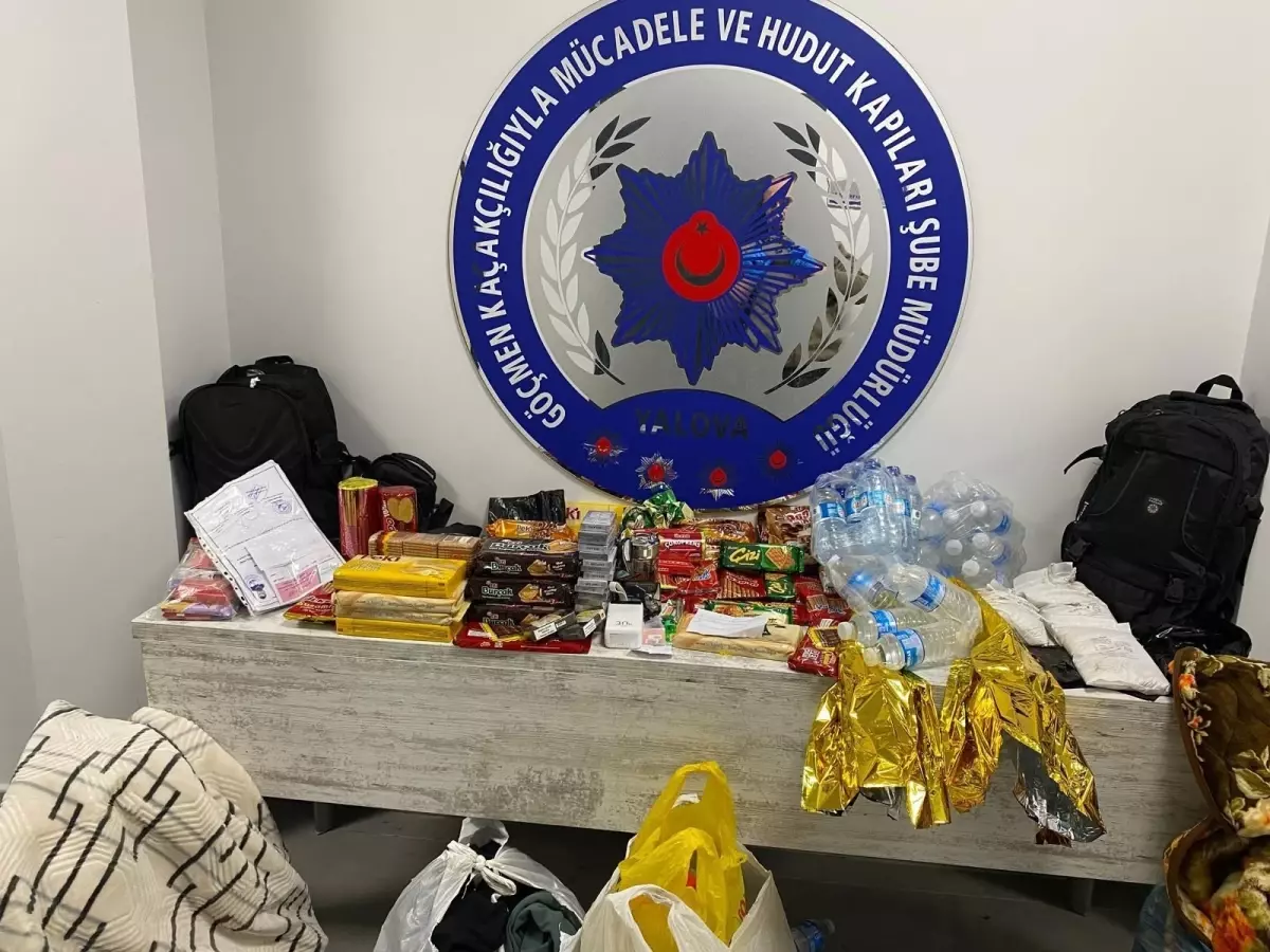 Yalova’da Saklı Göçmen Operasyonu