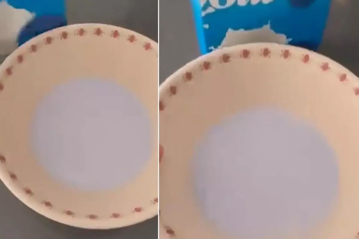 Zincir marketten alınan paketten mavi süt çıktı