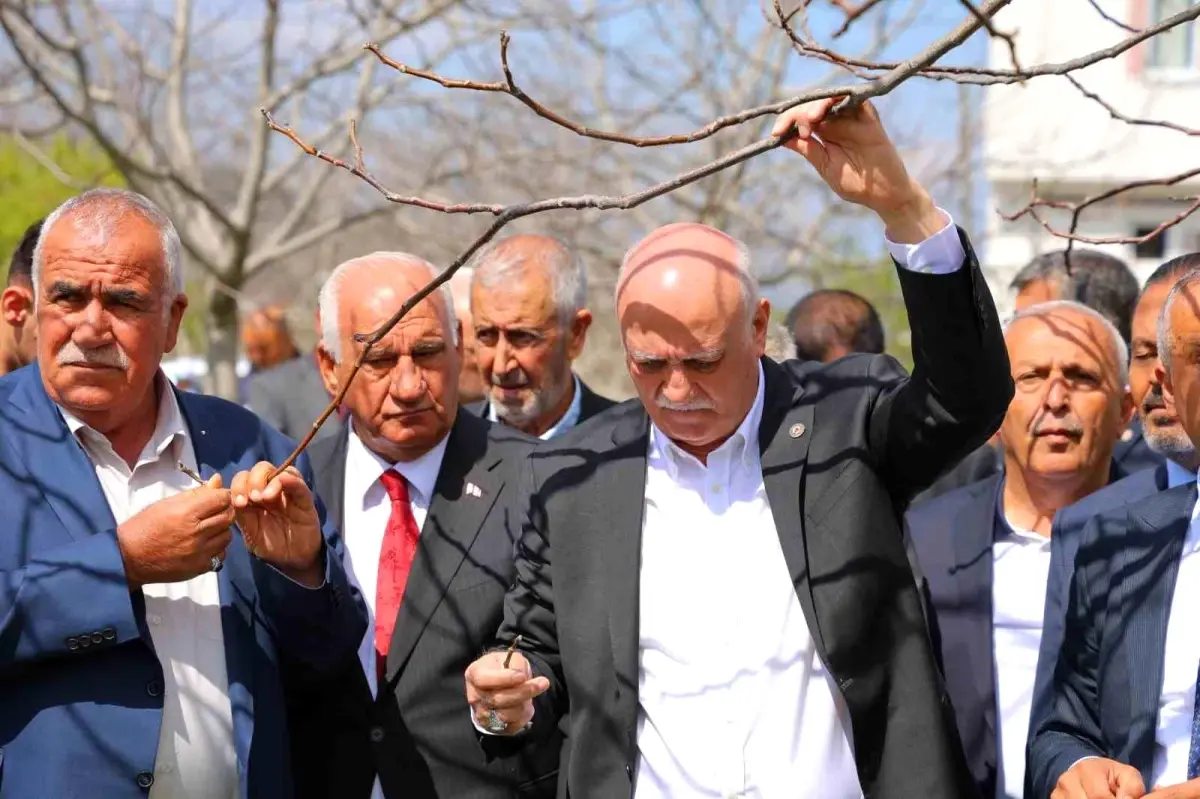 Zirai Don Felaketi Meyve Bahçelerini Vurdu