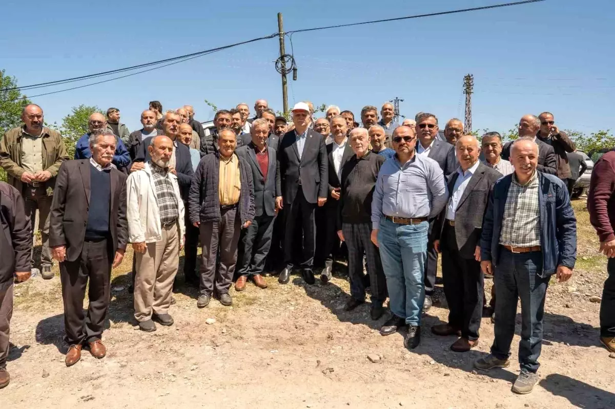 Zirai Don Fındık Bahçelerini Vurdu
