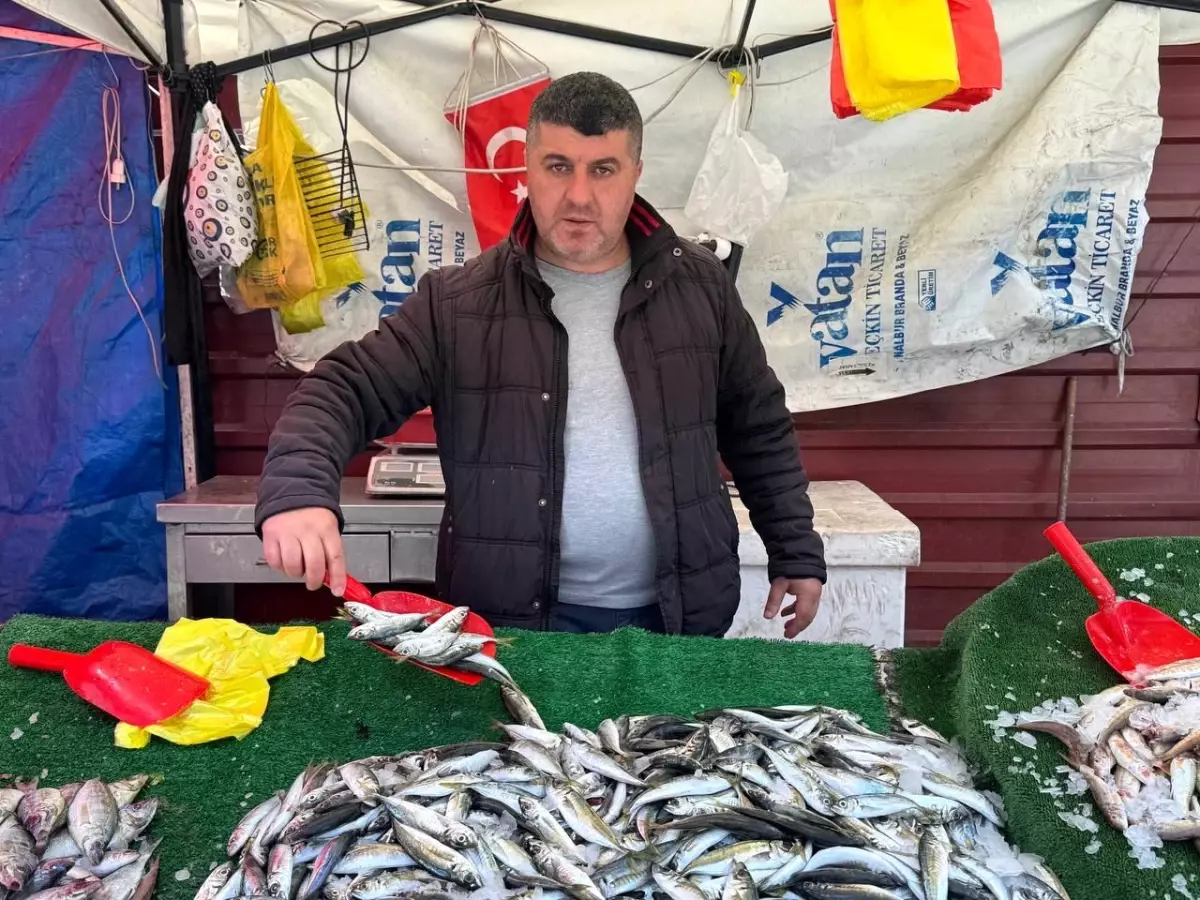 Zonguldak’ta Balıkçıların Umudu